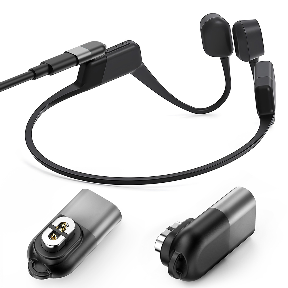 Magnetic Charger Type C Chargi - đánh giá và giá Skyrc B6 Neo Smart Charger