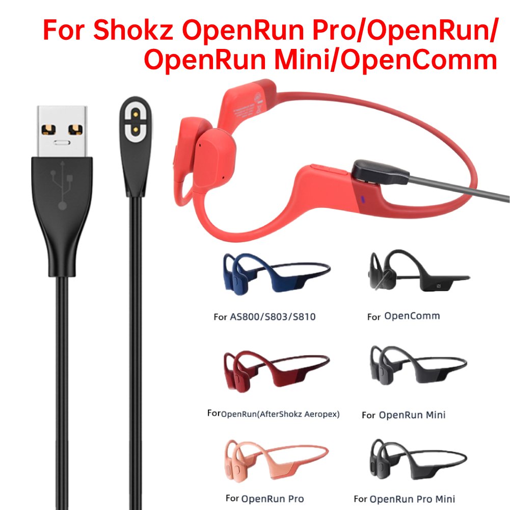 Bone Conduction Headphones Cha - đánh giá và giá Skyrc B6 Neo Smart Charger