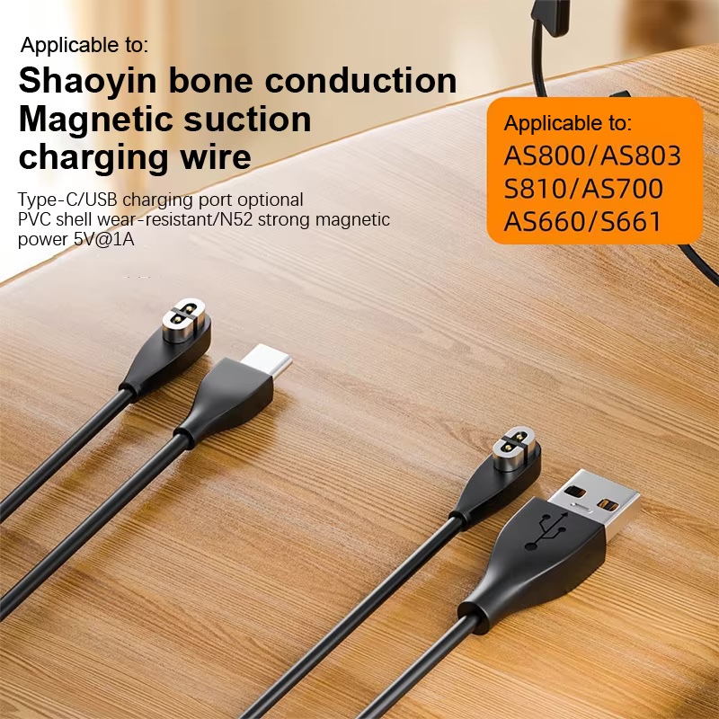 Magnetic Charger Cord for Shok - đánh giá và giá Skyrc B6 Neo Smart Charger